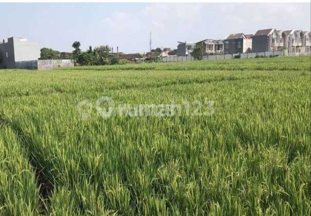 Dijual 30ha Lahan Perumahan Murah Di Pasar Kemis Dijual 30ha Lahan Perumahan Murah Di Pasar Kemis