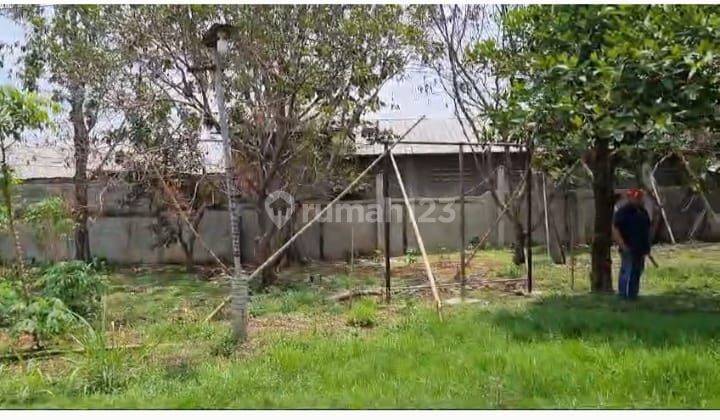 Dijual Tanah Murah Untuk Gudang Di Curug Tangerang Banten 1