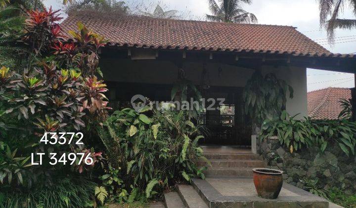 Julia 43372 Rumah Bagus Murah Hitung Tanah !  1