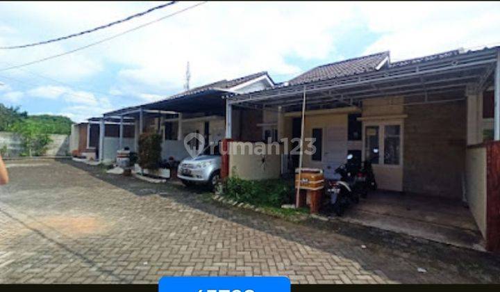 Julia 63729 Rumah Di Mulyorejo Bagus Siap Huni  2