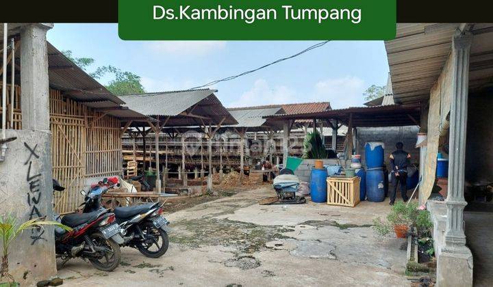 Julia 4327 Rumah Area Tumpang Hitung Tanah 2