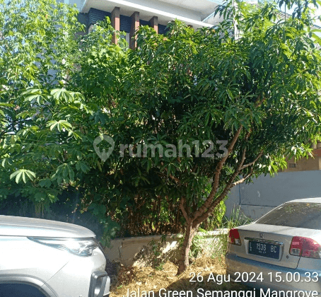 Rumah Green Semangi 2