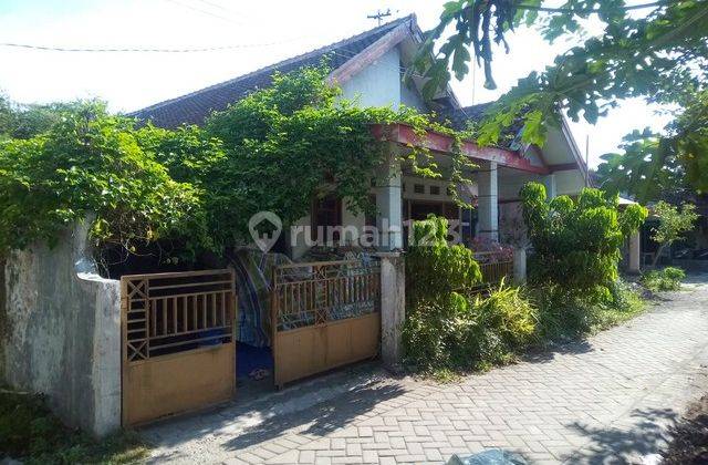 RUMAH PANCAKARYA JEMBER 89621 2