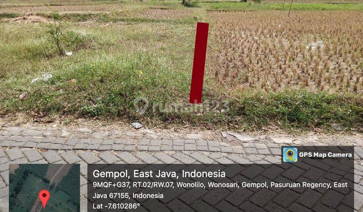 Jual Tanah Murah Gempol Wonosari Pasuruan Jawa Timur Indra 95231 2