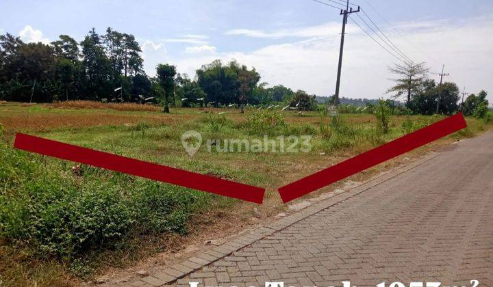 Jual Tanah Murah Gempol Wonosari Pasuruan Jawa Timur Indra 95231 1