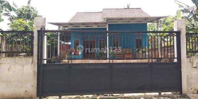 RUMAH PANCURAN JEMBER 94089 2