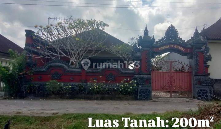 Jual Rumah Lebar Murah Banjat Tengah Jembrana Bali Indra 88958 1