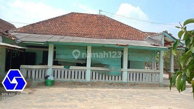 RUMAH TAMANSARI JEMBER 83002 1