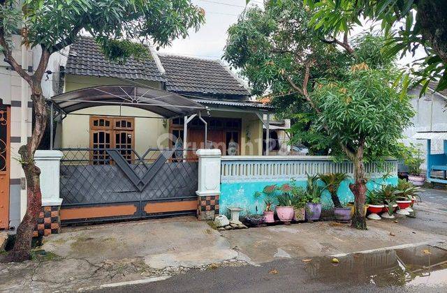 RUMAH DRIYOREJO KOTA BARU GRESIK 24500 1