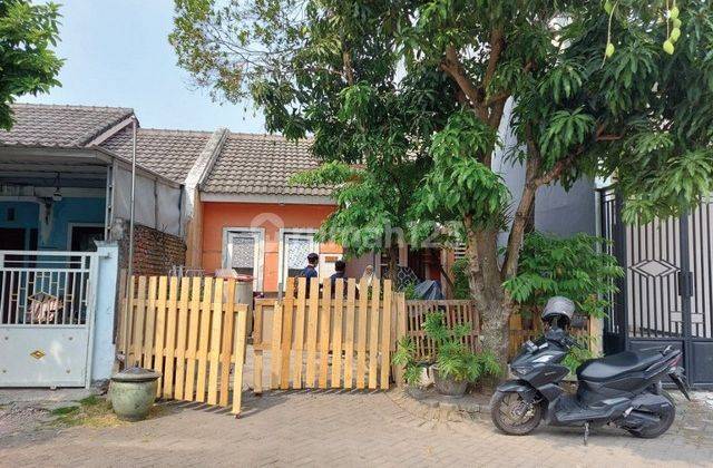 RUMAH BUKIT CITRA MAS GRESIK 21669 2