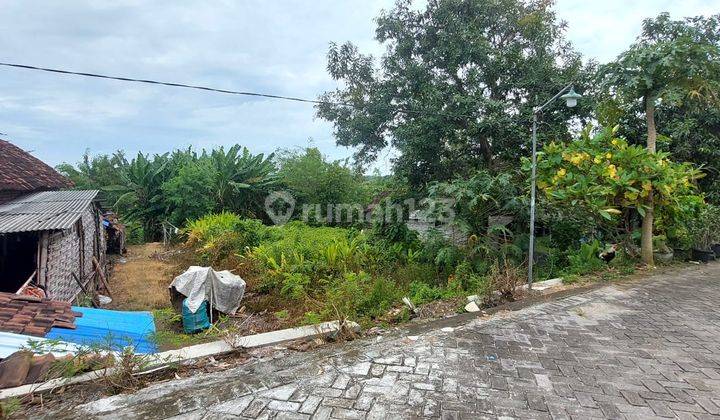 TANAH KEMUNING GRESIK 84736 1