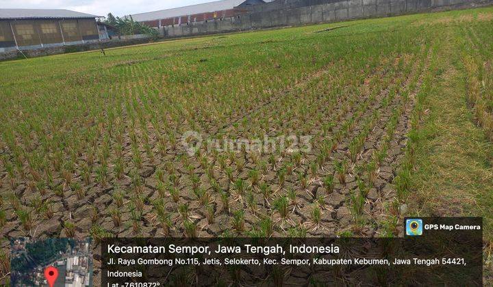 TANAH SELOKERTO KEBUMEN 86813 1