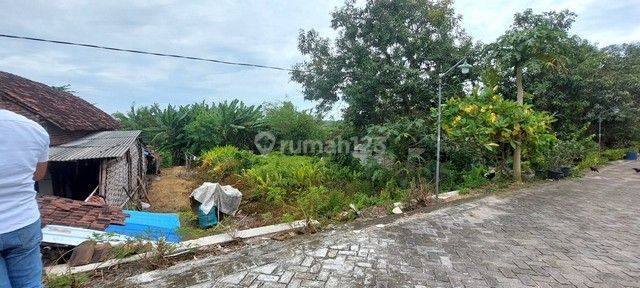 TANAH KEMUNING GRESIK 84736 2