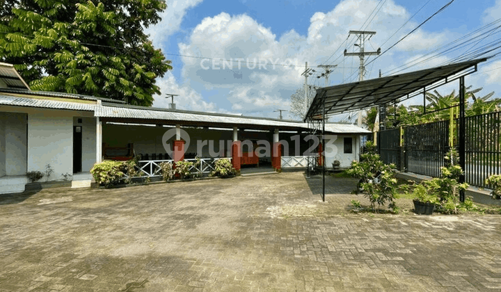 Rumah dan Ruang Usaha di Jl Palagan Dekat Masjid Suciati Rumah dan Ruang Usaha di Jl Palagan Dekat Masjid Suciati