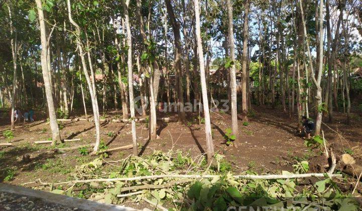 Tanah Pekarangan Luas Di Area Wisata Gunung Kidul 2