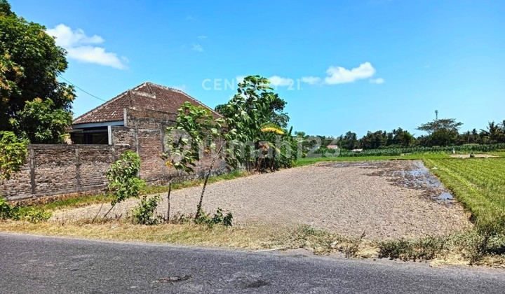Tanah Sawah 2550m2 Di Bantul Hanya 700m Dari Kopi Klotok Paris