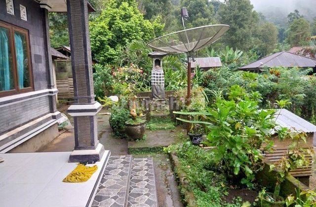 RUMAH BR. BEJI BULELENG 88957 1