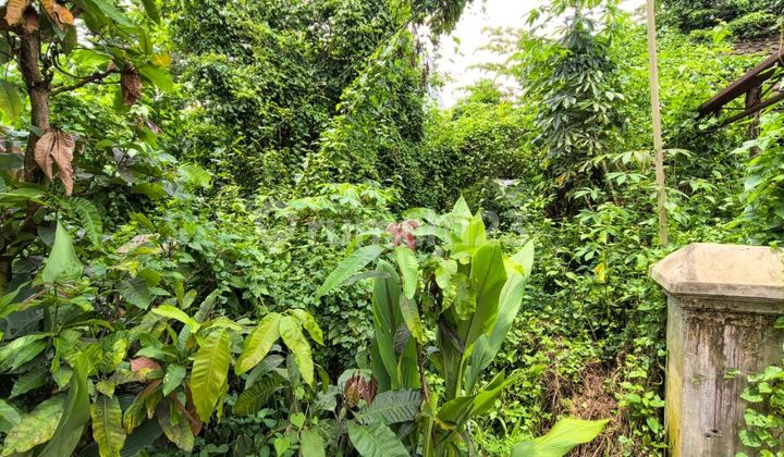 Dijualrumah Hitungharga Tanah Saja Ditelaga Kahuripan 2