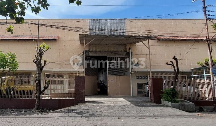 Warehouse + Office for Sale in Flood-Free City Center 1