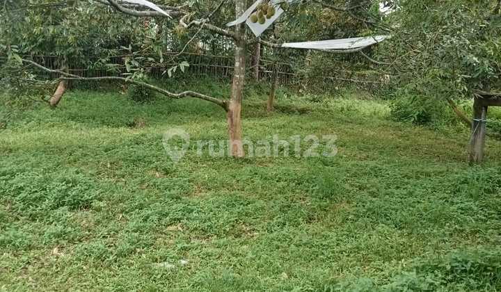 Strategic Land Ready to Use on the Side of Weleri Main Road