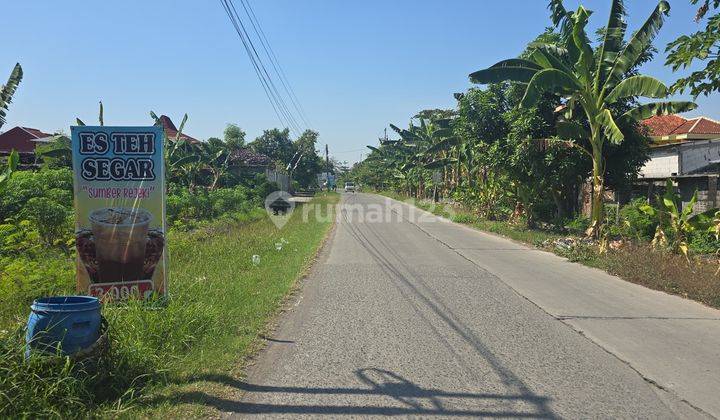 Tanah di Jalan Mranggen, Semarang 1890 SHM m² 2