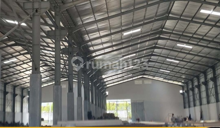 For Rent: Warehouse in Strategic Area, 4200.0 m², SHM, Near Toll Road. 1