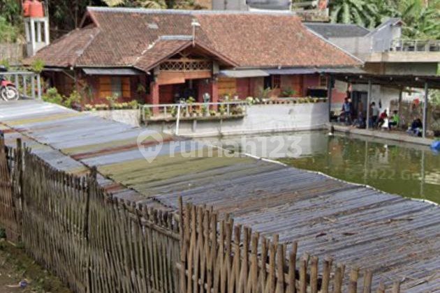 Dijual Tanah Bonus Viila Dan Kolam Pemancingan Kawasan Sejuk Bandung Utara Dijual Tanah Bonus Viila Dan Kolam Pemancingan Kawasan Sejuk Bandung Utara