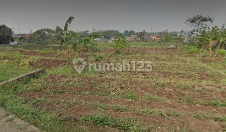 Dijual Murah Tanah Matang Siap Bangun Di Jatinangor Cocok Untuk Kosan Dijual Murah Tanah Matang Siap Bangun Di Jatinangor Cocok Untuk Kosan