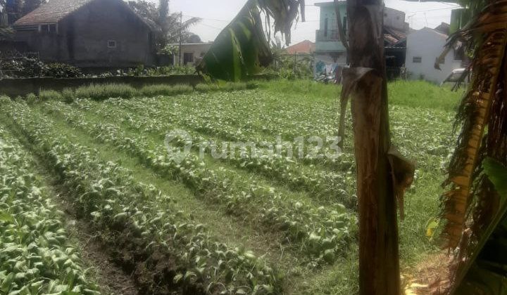 Dijual Tanah Kavling Strategis Dekat Kampus Upi Cibiru Cocok Jadi Tempat Kosan Dijual Tanah Kavling Strategis Dekat Kampus Upi Cibiru Cocok Jadi Tempat Kosan