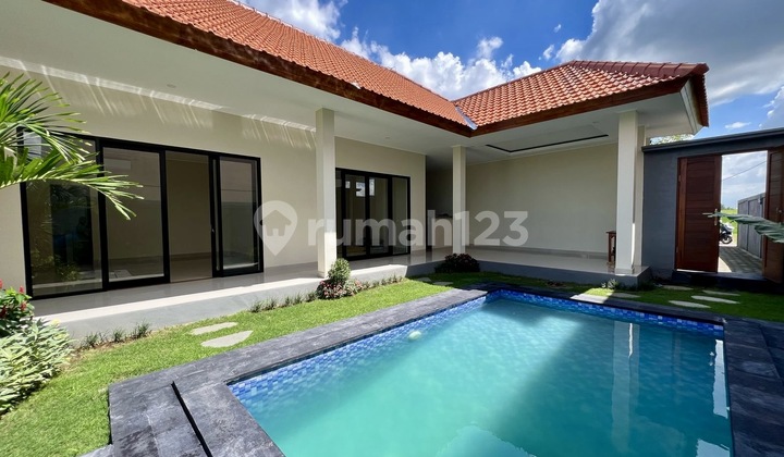 New unfurnished 2 bedroom villa in north Umalas/Padonan with an open kitchen/living area and rice field views New unfurnished 2 bedroom villa in north Umalas/Padonan with an open kitchen/living area and rice field views