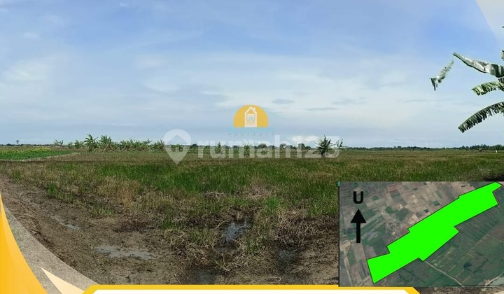 Ready-to-Use Good Strategic Industrial Zone Land in Pidodo Kulon Ready-to-Use Good Strategic Industrial Zone Land in Pidodo Kulon