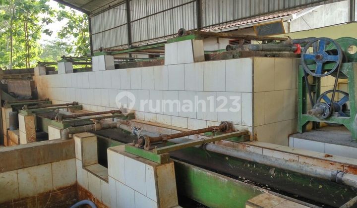 Strategic Ready-to-Use Tapioca Flour Factory in Pati Tayu Strategic Ready-to-Use Tapioca Flour Factory in Pati Tayu