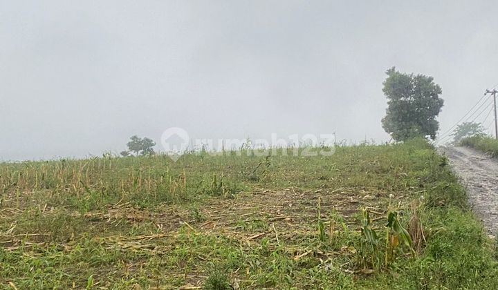 Tanah Padat SHM Arjasari , Bandung Tanah Padat SHM Arjasari , Bandung