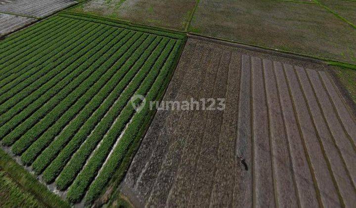 Tanah strategis harga dibawah NJOP untuk perumahan di ciwastra kota bandung 2