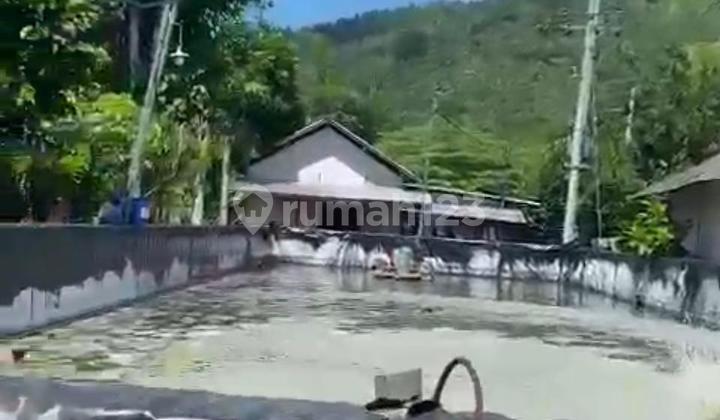 Tanah Desa Parigi Trenggalek Jatim Shm 5117m Tanah Desa Parigi Trenggalek Jatim Shm 5117m