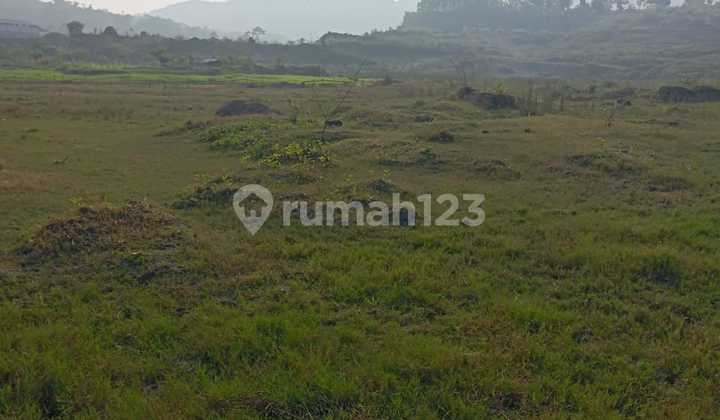 Jual Cepat Tanah Kawasan Peruntukan Industri Desa Lulut Klapa Nunggal Citeureup Bogor