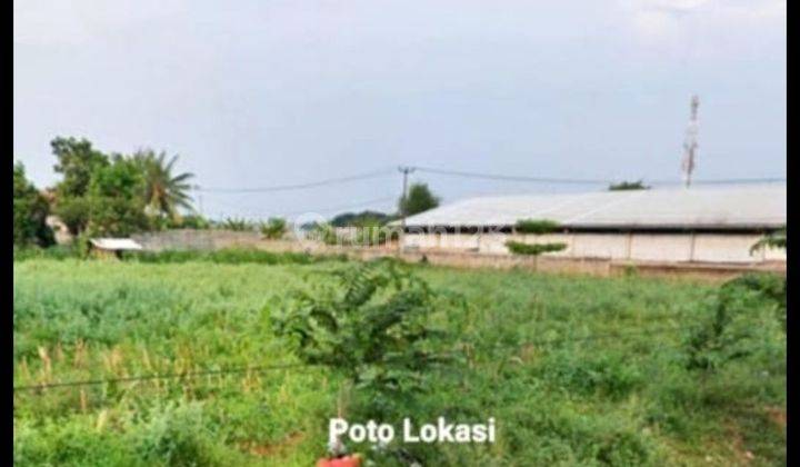 Tanah Dijual Zona Industri Karawang Cikopo Cibatu, Karawang 

• Luas Tanah  6500 M² • Jarak Ke Exit Tol Cikopo Hanya 2 Km
• Jarak Ke Kawasan Industri Biic Hanya 2.5 Km 2