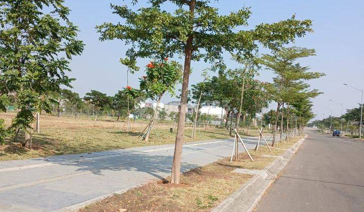 Di Sewa Tanah Kavling Comercial Hook Bukit Danau Indah PIK 2 Tangerang 2