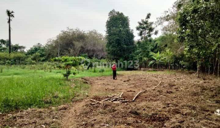 Kavling Cocok Untuk Sekolahan Kampus Dan Rs Jelupang Bsd City 1