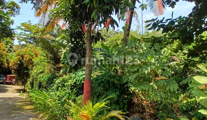 Peluang Investasi! Tanah 1247M² Dekat Rs Siloam Karawaci & Lippo