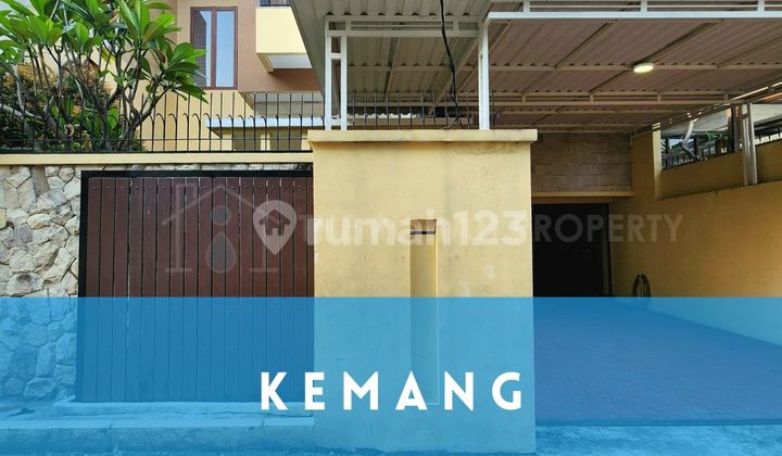 Rumah Modern Tropis Private Pool Kemang Jakarta