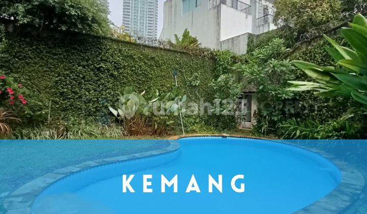 Rumah Kawasan Prestisius Kemang Tanah Luas Private Pool