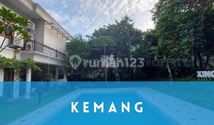 Beautiful House Unit Hook Spacious Yard Private Pool Kemang South Jakarta