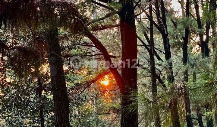 Affordable House Villa Cinere Mas Complex 2