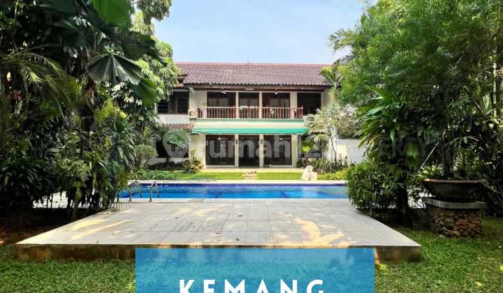 Rumah Cantik Kemang Jaksel Private Pool Halaman Luas