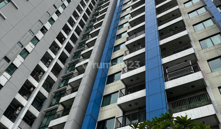 Apartemen Hampton Park 2 BR Harga Dibawah Pasaran 1