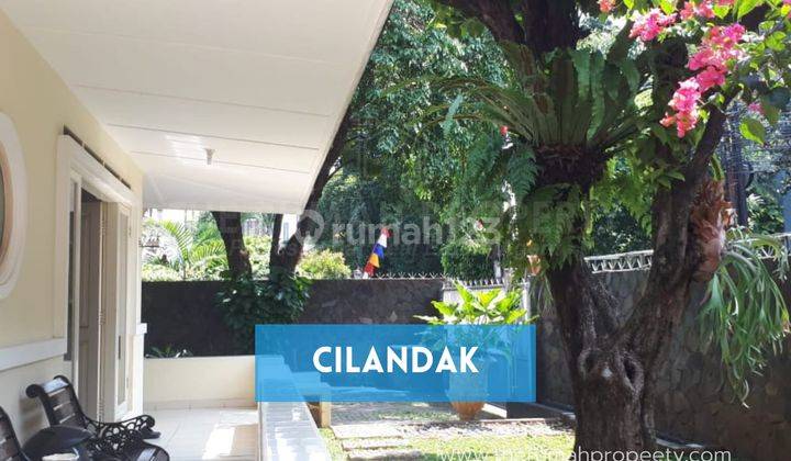 Rumah Rapi 1 Lantai Taman Luas Dan Layout Lapang Cilandak Jaksel 1