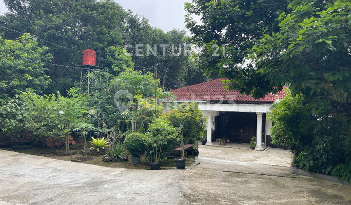 Serene House with Spacious Yard in Lenteng Agung