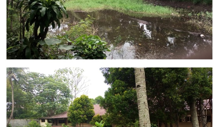 Tanah Di Depok Cocok Untuk Usaha .ed Tanah Di Depok Cocok Untuk Usaha .ed