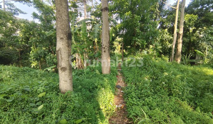 LAND FOR SALE READY TO BUILD ON ABDULLAH BIN NUH MAIN ROAD CIANJUR, WITH MAIN ROAD ACCESS AND STRATEGIC LOCATION, SUITABLE FOR HOUSE OR BUSINESS.
